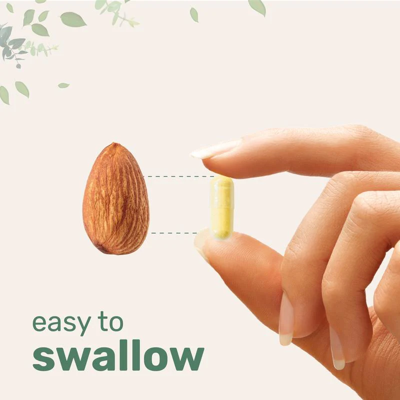 Saffron+ Advanced - Image 6